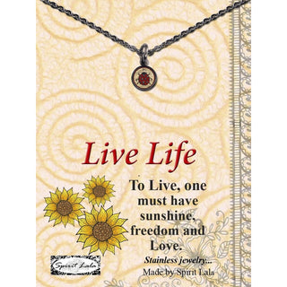 Carded Art Necklace and Chain Set Insects Butterfly Dragonfly
